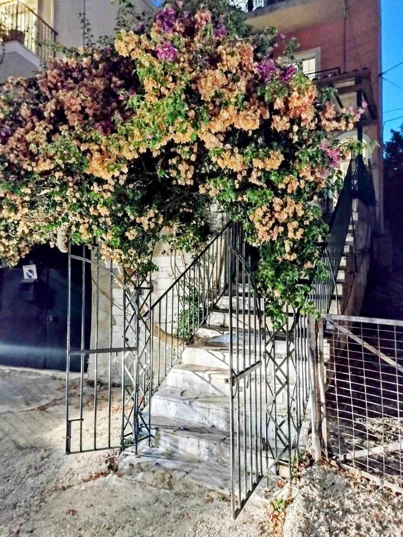 Corfu Pelekas Apartment 2 Dış mekan fotoğraf